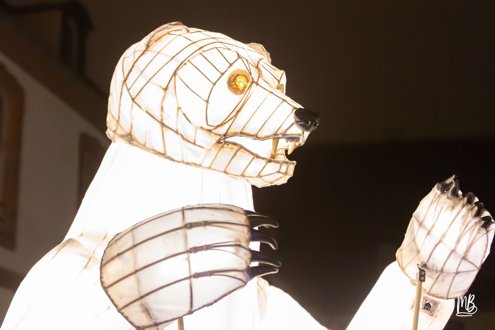 MB2024 CIE REMUE MENAGE(Gueule d'ours) (47 sur 107)